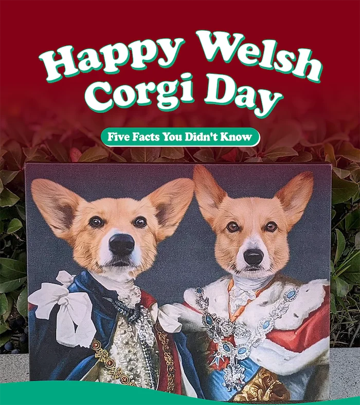 Happy Welsh Corgi Day! Five Facts You Didn't Know...