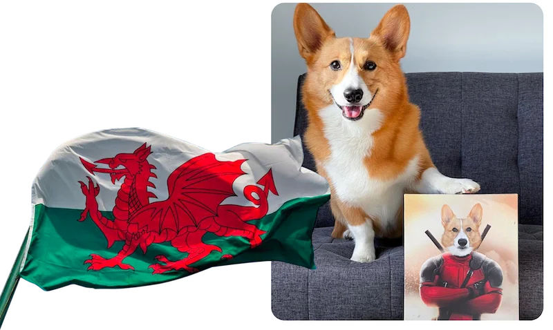 The Deadpawl Corgi Portrait
