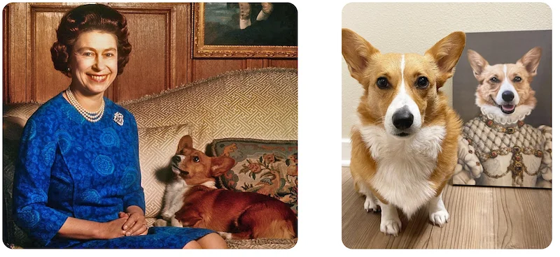 The Princess Corgi Portrait