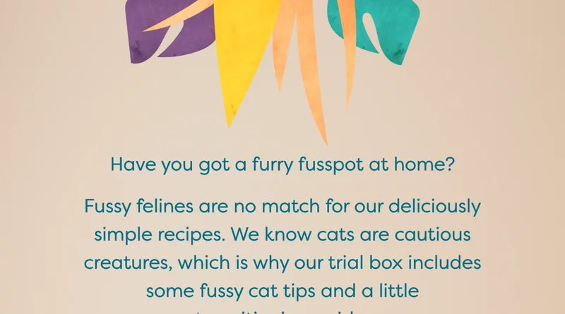 Have you got a furry fusspot at home?