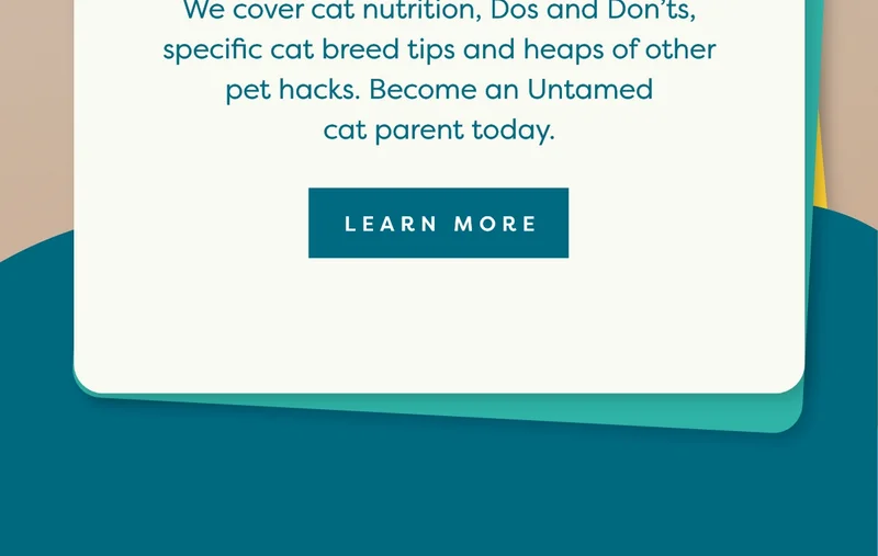 Learn more