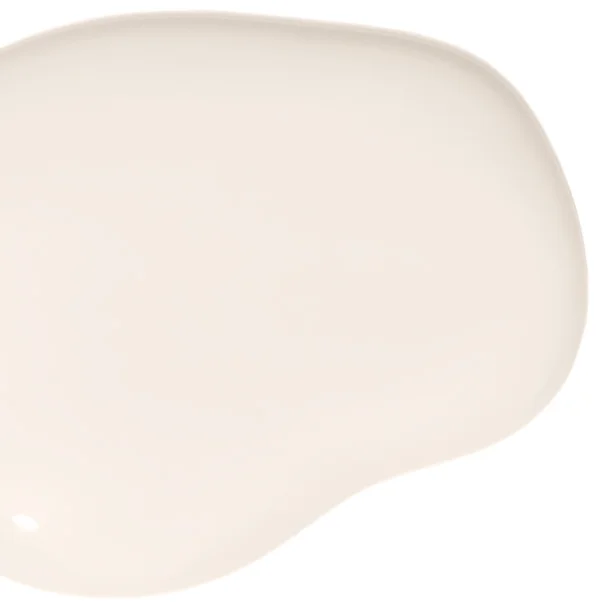 Wing It paint color blob