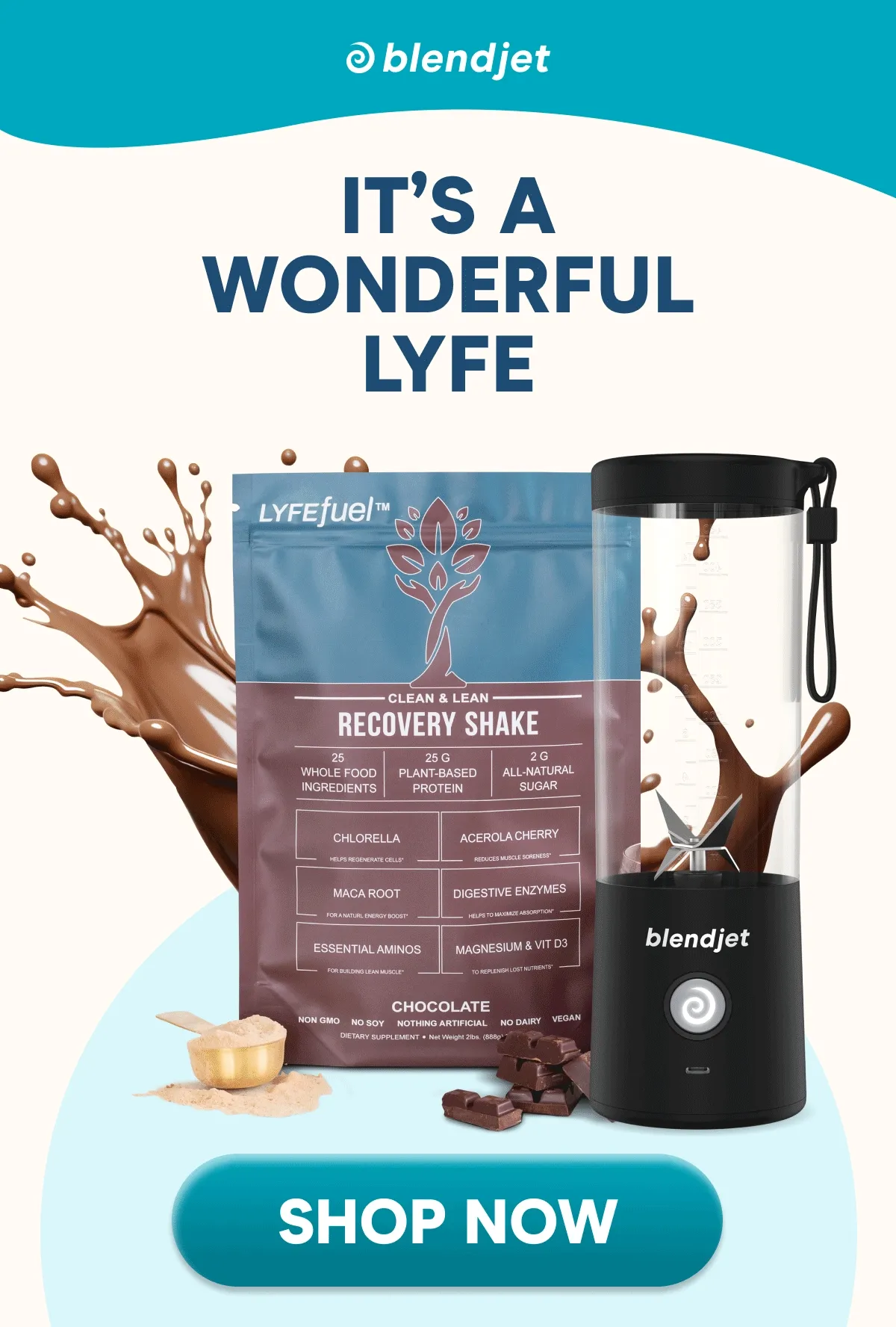 IT’S A WONDERFUL LYFE