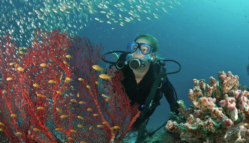 Scuba diving in Maldives