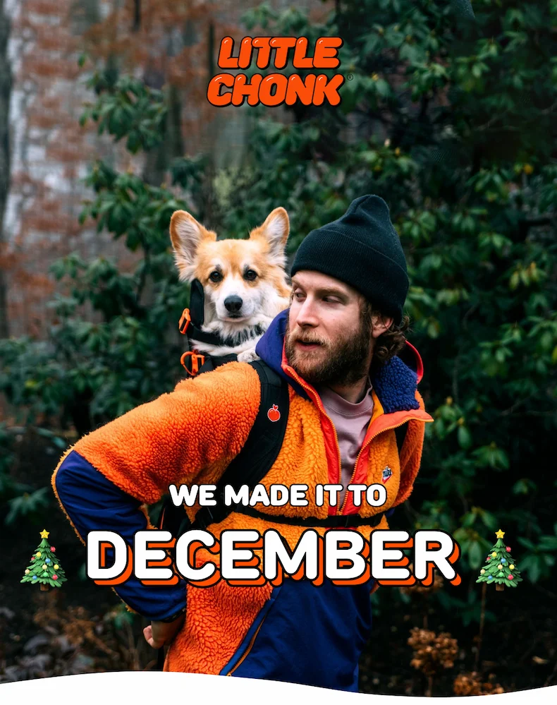 WE MADE IT TO DECEMBER 🎄