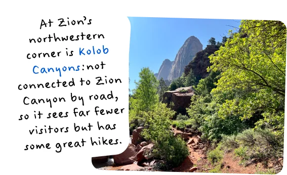 At Zion’s northwestern corner is Kolob Canyons: not connected to Zion Canyon by road, so it sees far fewer visitors but has some great hikes.