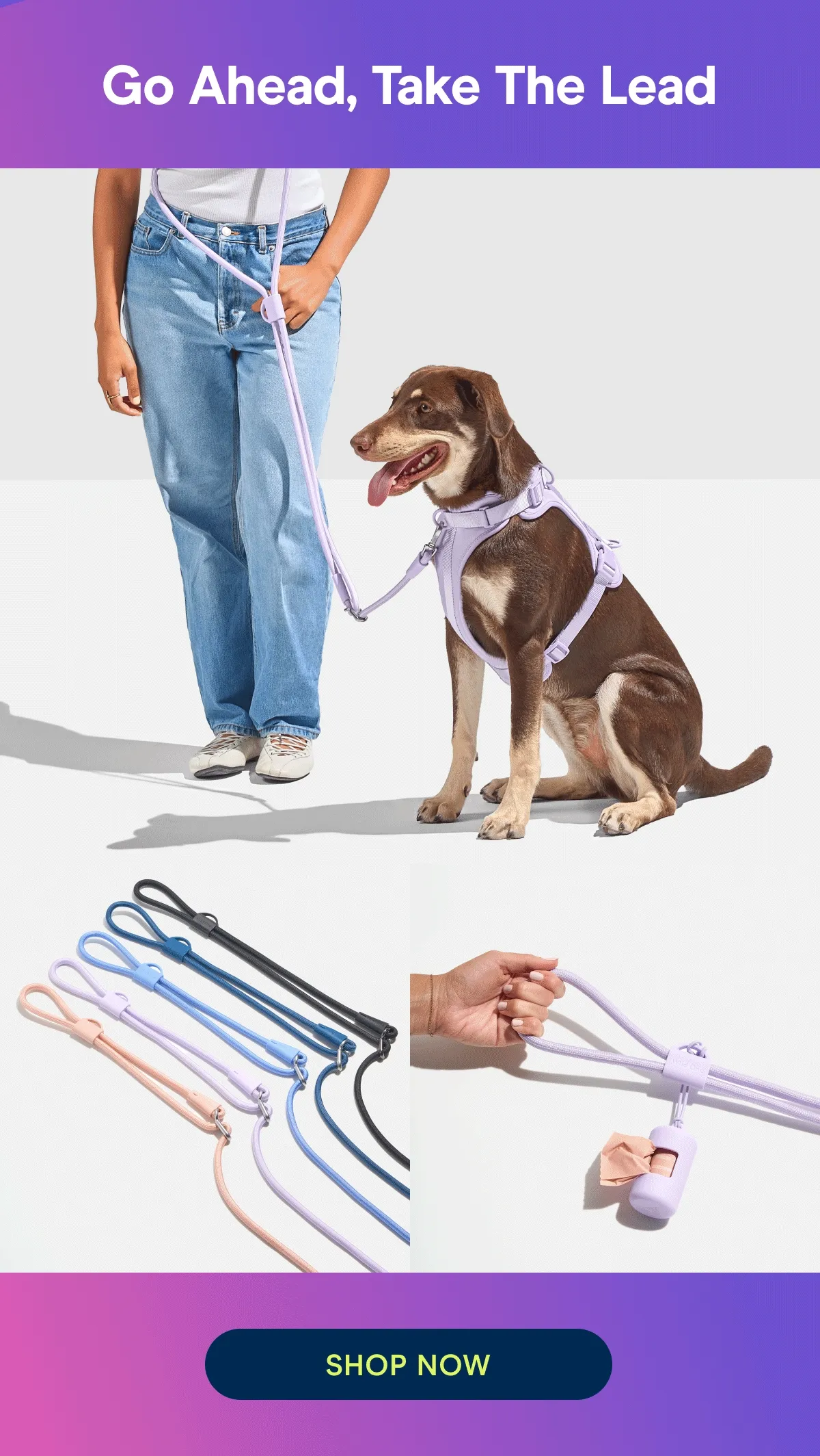 Go Ahead, Take The Lead. Dog wearing harness with rope leash, rope leash in different colors, rope leash with poop bag carrier