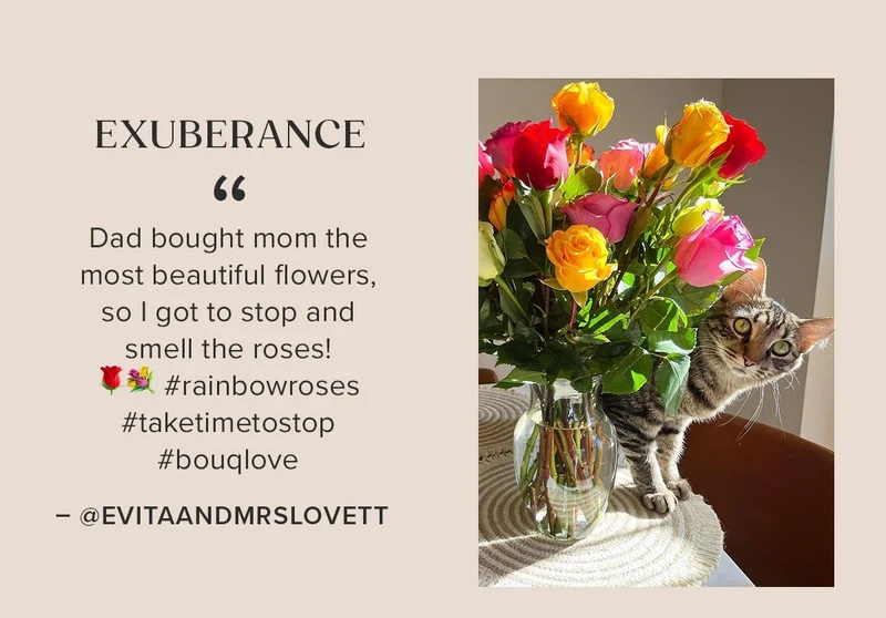 Featured Bouq: Exuberance. ''Dad bought mom the most beautiful flowers, so | got to stop and smell the roses! #rainbowroses #taketimetostop #bouglove thebouqsco'' — @EVITAANDMRSLOVETT