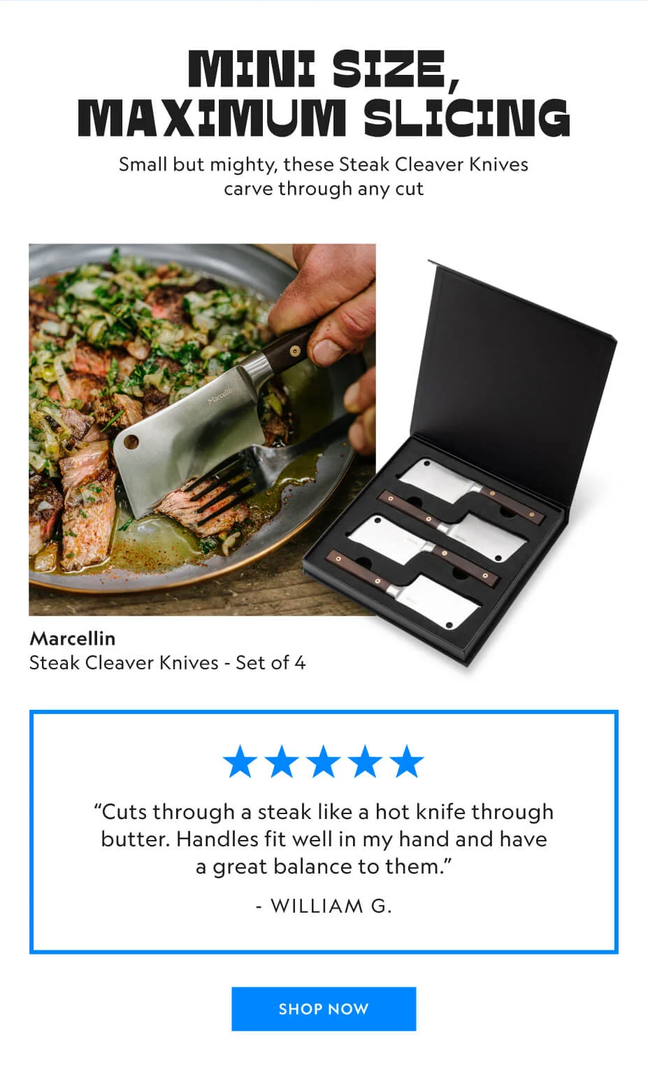 Marcellin Steak Cleaver Knives - Set of 4