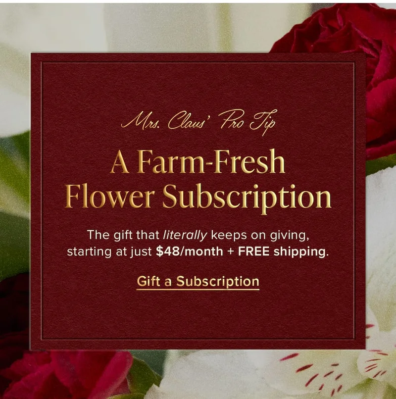 Mrs. Claus' Pro Tip: A Farm-Fresh Flower Subscription. The gift that literally keeps on giving, starting at just $48/month + FREE shipping. Gift a Subscription.