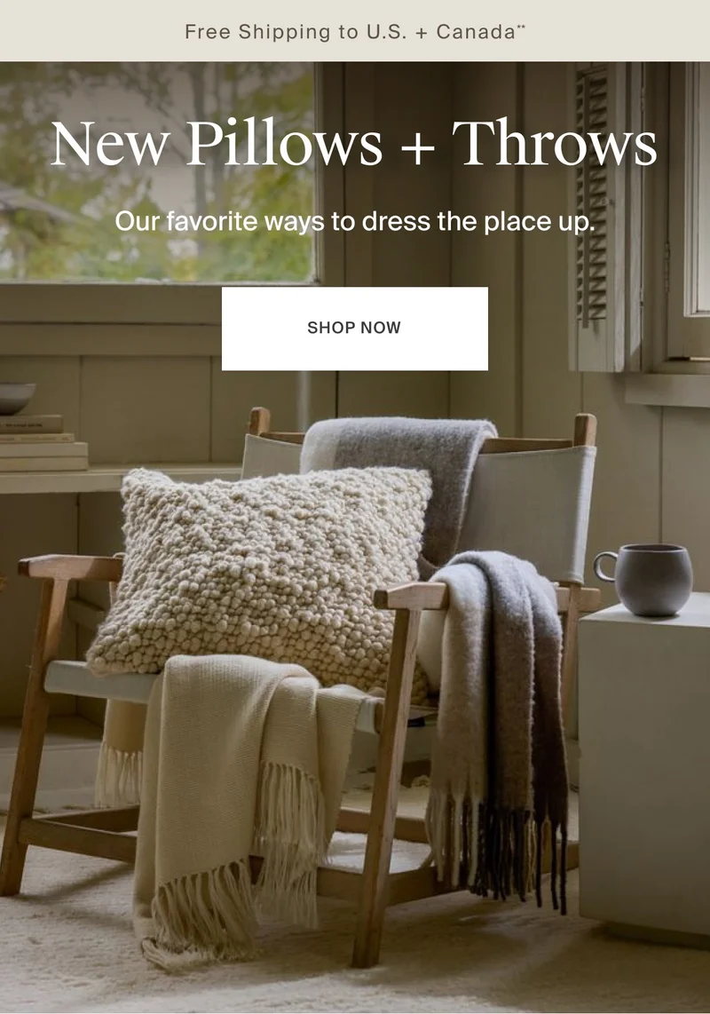 Shop New Pillows + Throws