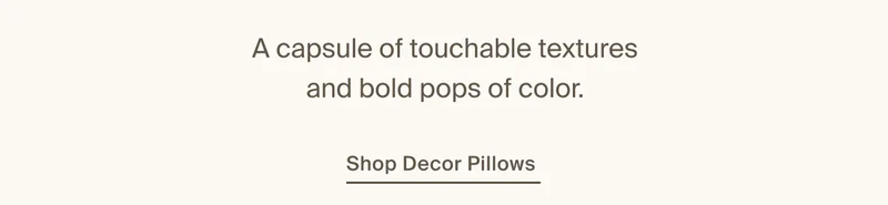 Shop Decorative Pillows