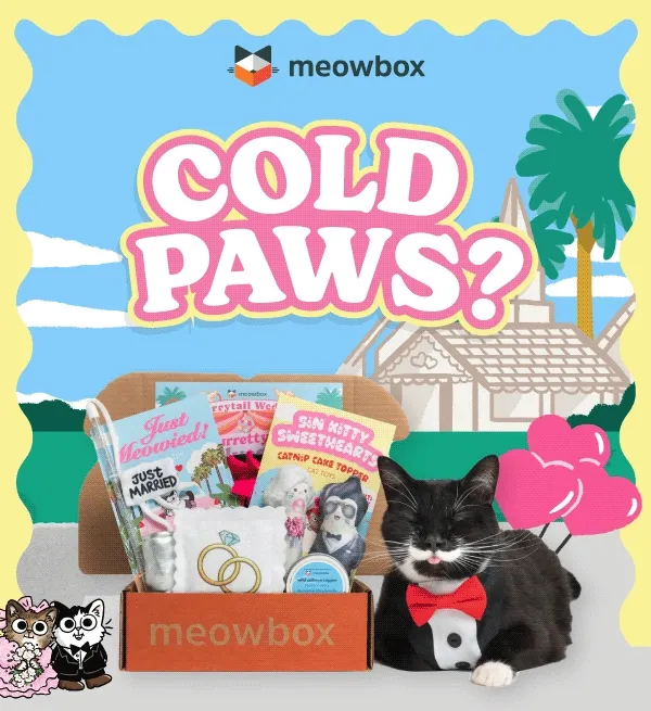 Cold paws? Image of a black and white cat wearing a tuxedo in front of the Furrytail Wedding meowbox (featuring toys like the Sin Kitty Sweethearts Catnip Cake Topper, Just Meowied Wand Toy, Purretty in Polyester Enrichment toy and more) in front of a tacky wedding background