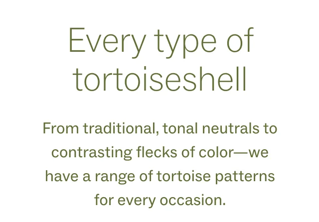 Every type of tortoiseshell