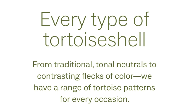 Every type of tortoiseshell