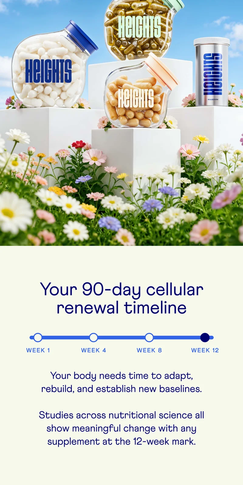Your 90-day cellular renewal timeline