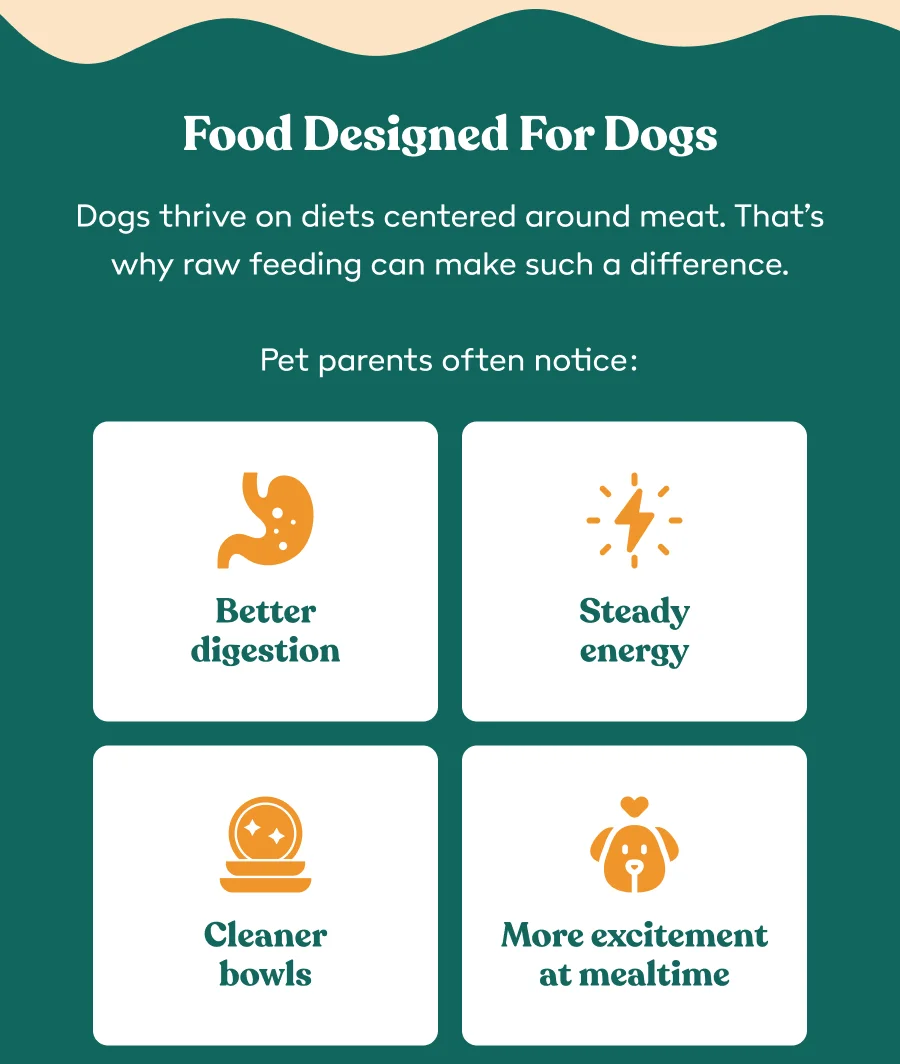 Food Designed For Dogs