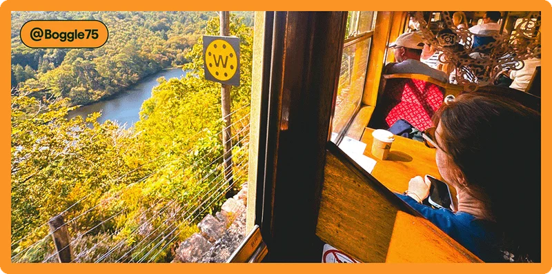 Image description: A traveler looking out the window of a train, photo taken by @Boggle75