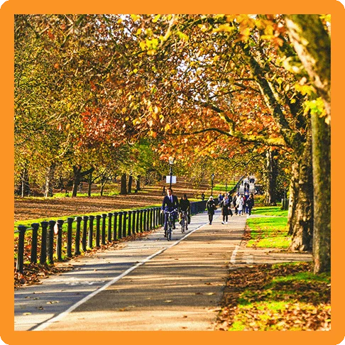 Image description: Bikers and walkers on a path in a park with autumn leaves on the ground.