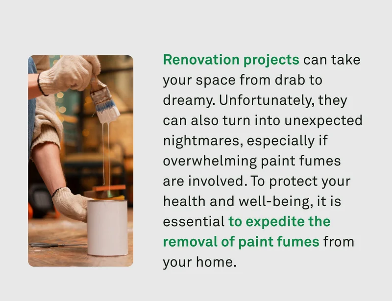 Renovation projects can take your space from drab to dreamy. Here's how to remove paint fumes from your home.