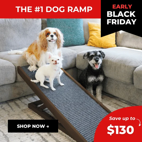 Early Black Friday Sale
