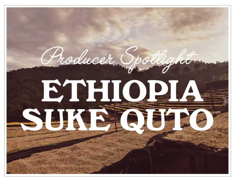 Producer Spotlight: Ethiopia Suke Quto