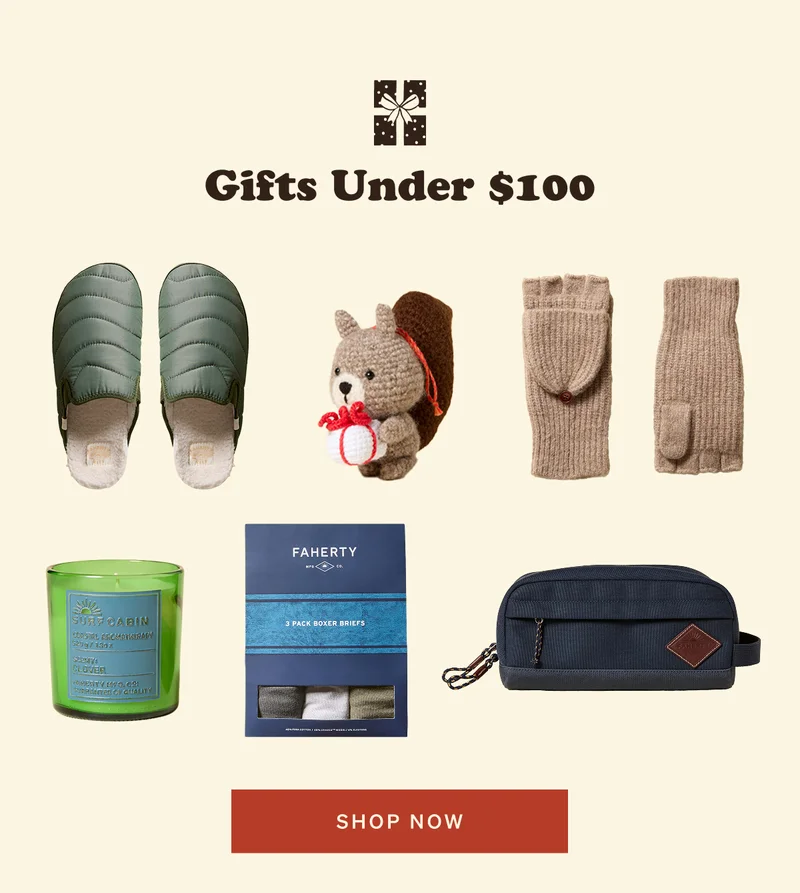 Gifts Under $100