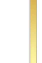 Column 1C