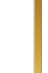 Column 1B