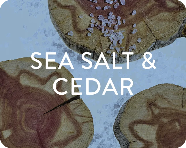 sea salt and cedar