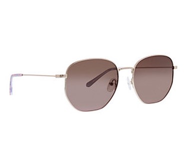 Vera Bradley Sycan Polarized Geometric Metal Su nglasses