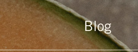 Blog
