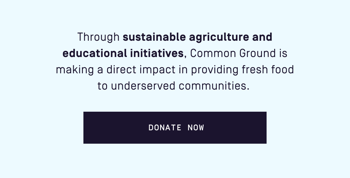 With your support, we've been able to: Offset 100% of our carbon emissions, uplift local communities with quarterly haircare donations, Sponsor a $10K grant for emerging entrepreneurs