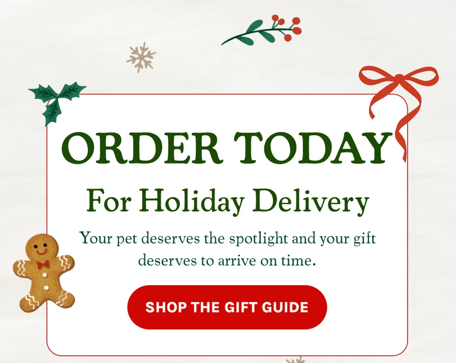 Shop The Gift Guide