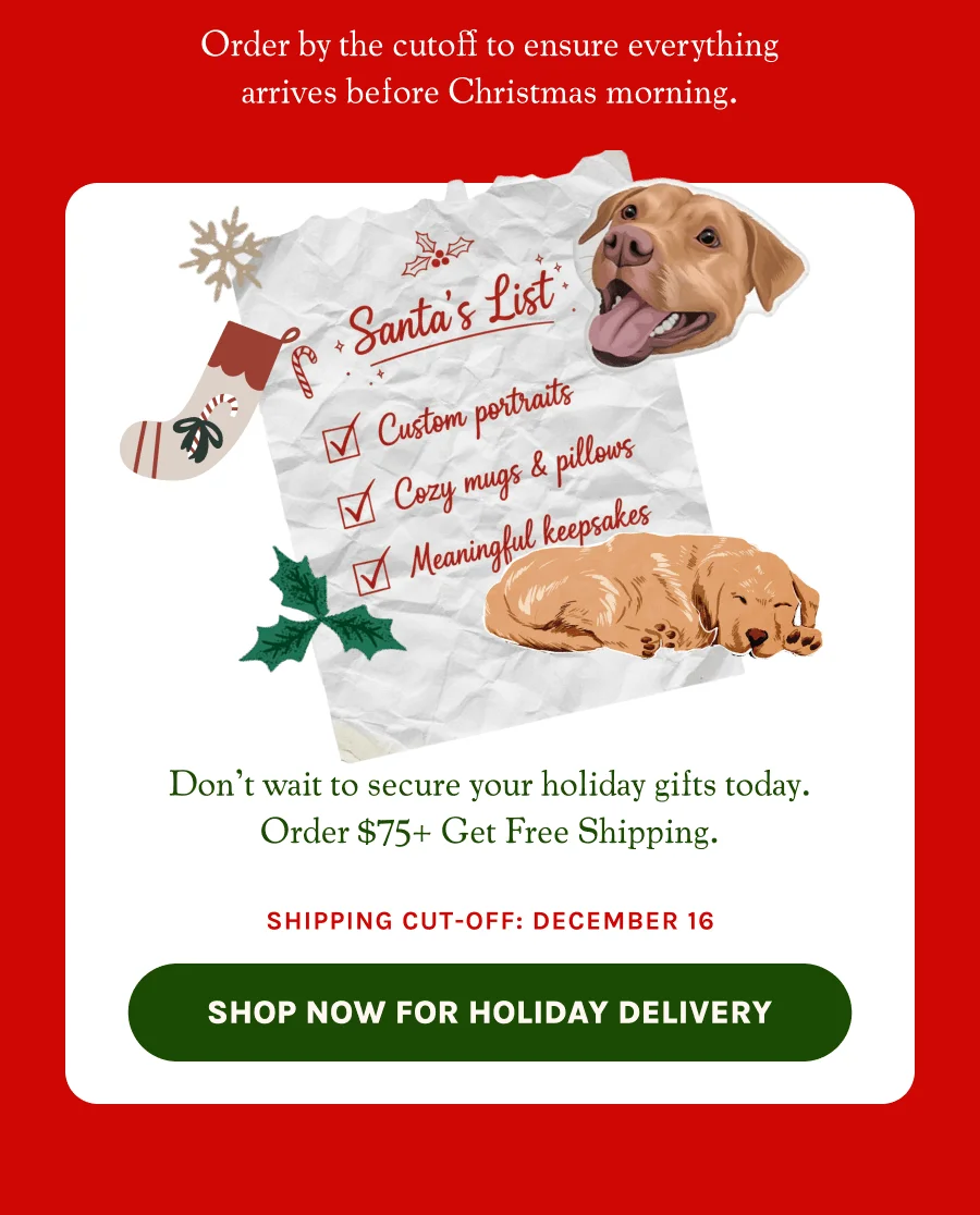 Shop Now For Holiday Delivery
