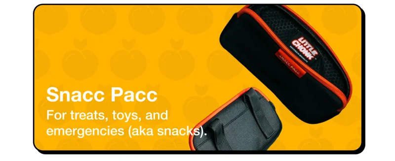 Snacc Pacc