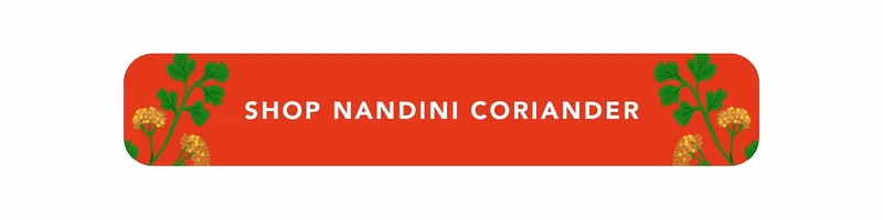 Shop Nandini Coriander