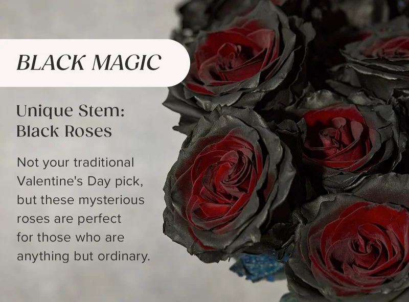 Unique Stem: Black Roses! Not your traditional Valentine's Day pick, but these mysterious roses are perfect  for those who are anything but ordinary. SHOP THE BLACK MAGIC BOUQ!