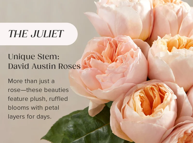 Unique Stem: David Austin Roses! More than just a rose—these beauties feature plush, ruffled blooms with petal  layers for days. SHOP THE JULIET BOUQ!