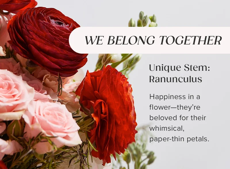 Unique Stem: Ranunculus! Happiness in a flower—they're beloved for their whimsical, paper-thin petals. SHOP THE WE BELONG TOGETHER BOUQ!