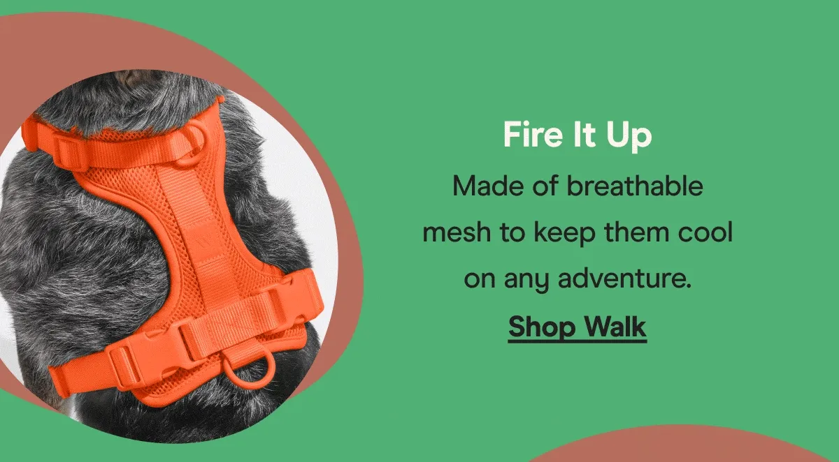 walk kit blaze