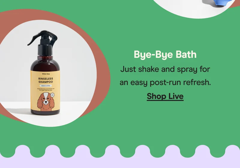 shop live