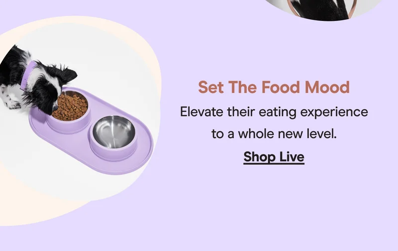 shop live