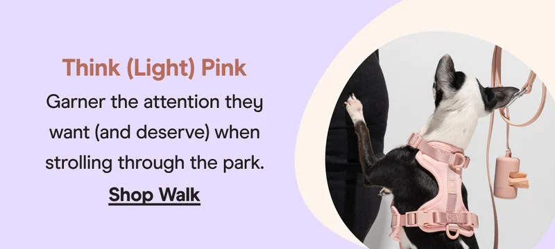 walk kit blush