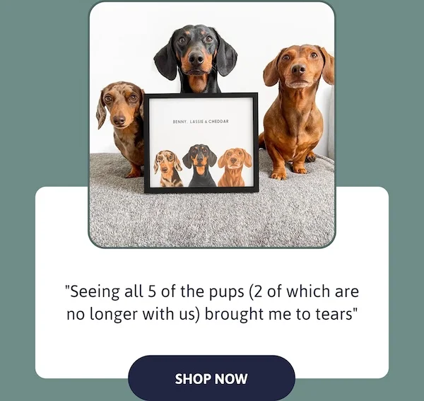 "Seeing all 5 of the pups (2 of which are no longer with us) brought me to tears"