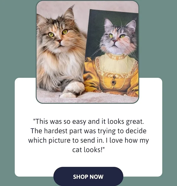 "This was so easy and it looks great. The hardest part was trying to decide which picture to send in. I love how my cat looks!"
