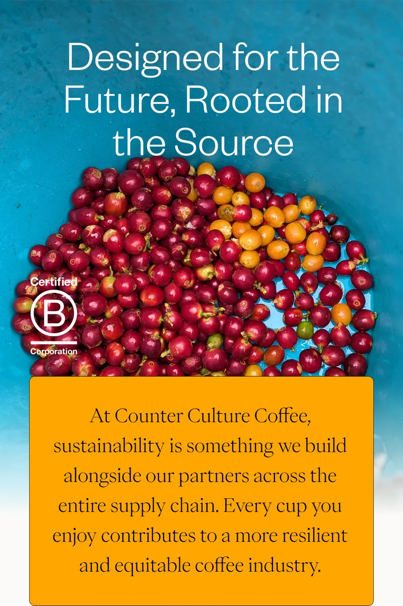 Designed for the Future, Rooted in the Source At Counter Culture Coffee, sustainability is something we build alongside our partners across the entire supply chain. Every cup you enjoy contributes to a more resilient and equitable coffee industry.