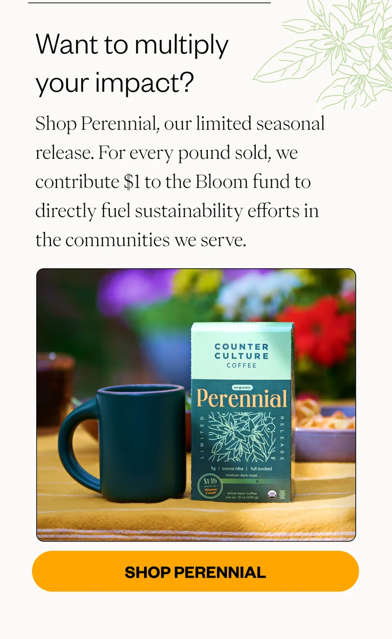 Want to multiply your impact? Shop Perennial, our limited seasonal release. For every pound sold, we contribute $1 to the Bloom fund to directly fuel sustainability efforts in the communities we serve. CTA: SHOP PERENNIAL