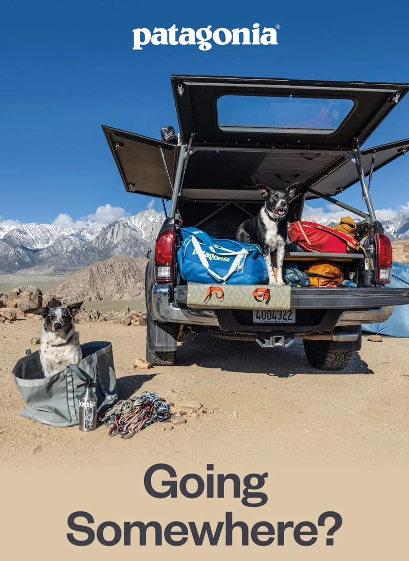Patagonia. Going somewhere?