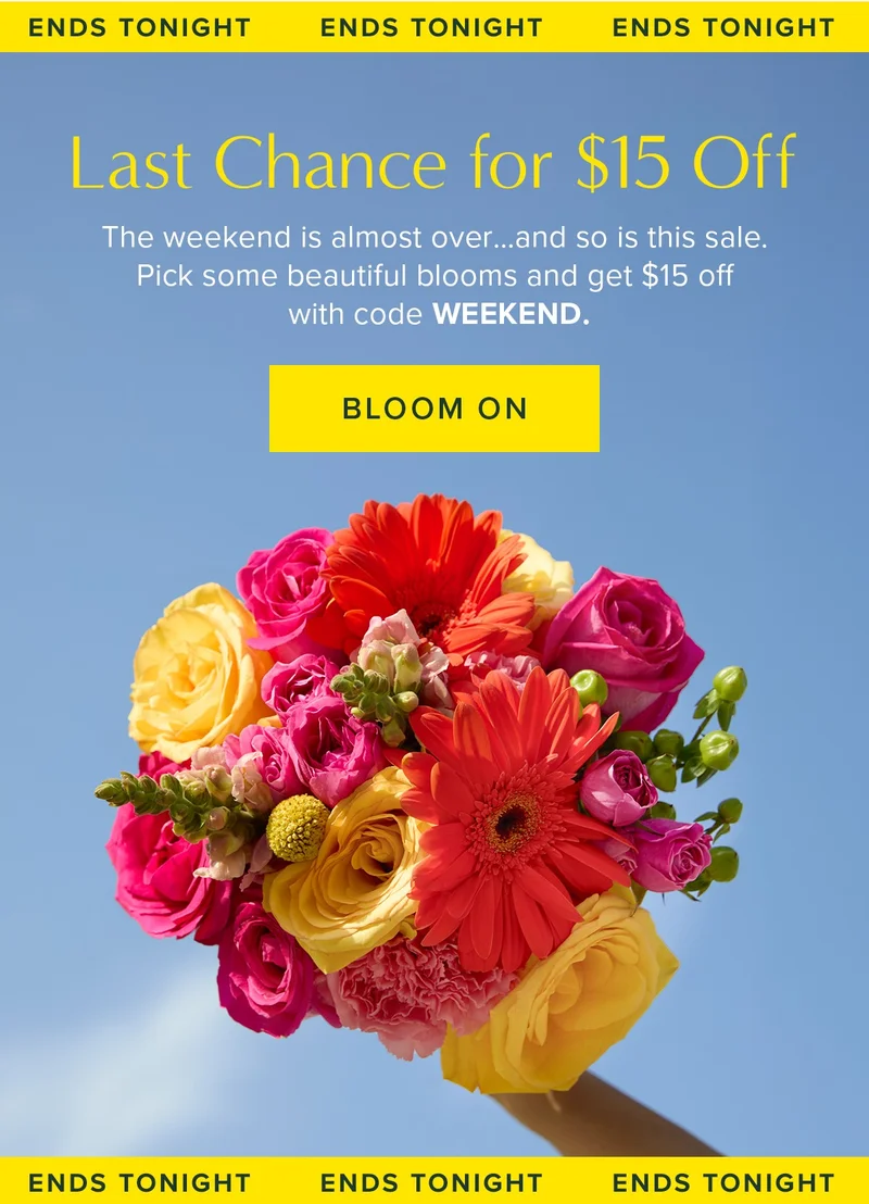 Last Chance for $15 Off! Ends Tonight! The weekend is almost over...and so is this sale. Pick some beautiful blooms and get $15 off with code WEEKEND. Bloom On.